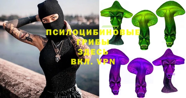 шишки Абинск