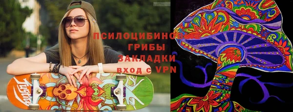 стафф Протвино