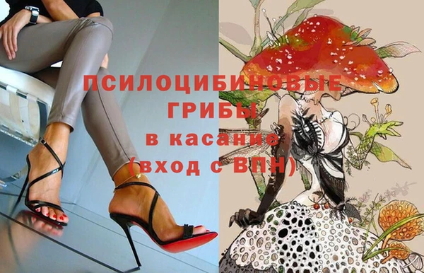 шишки Абинск