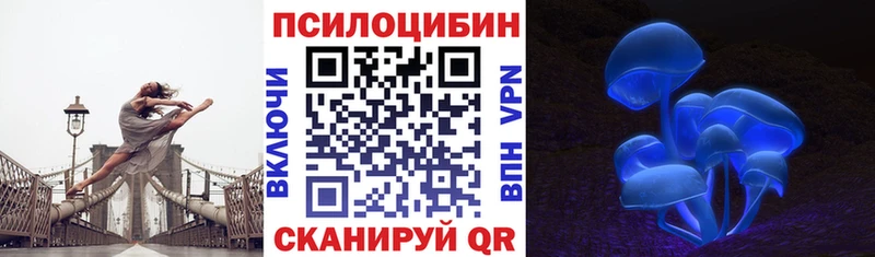 Галлюциногенные грибы GOLDEN TEACHER  купить закладку  Дубовка 